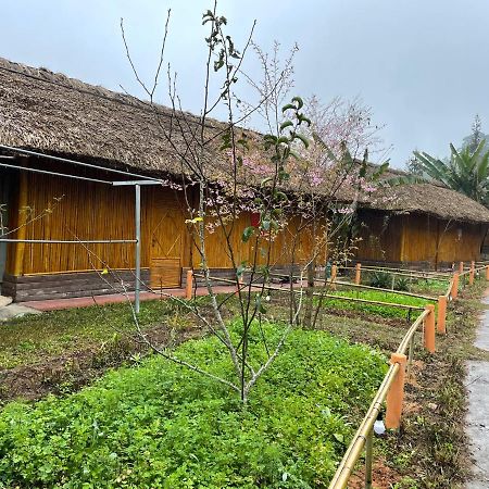 Hoang Su Phi Bungalow エクステリア 写真
