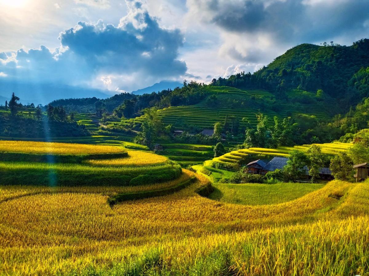 Hoang Su Phi Bungalow エクステリア 写真