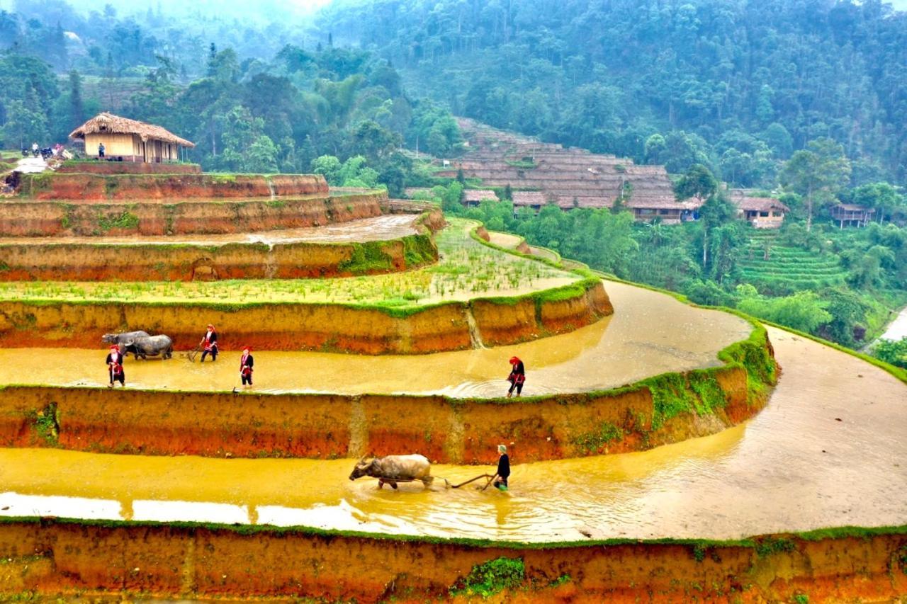 Hoang Su Phi Bungalow エクステリア 写真
