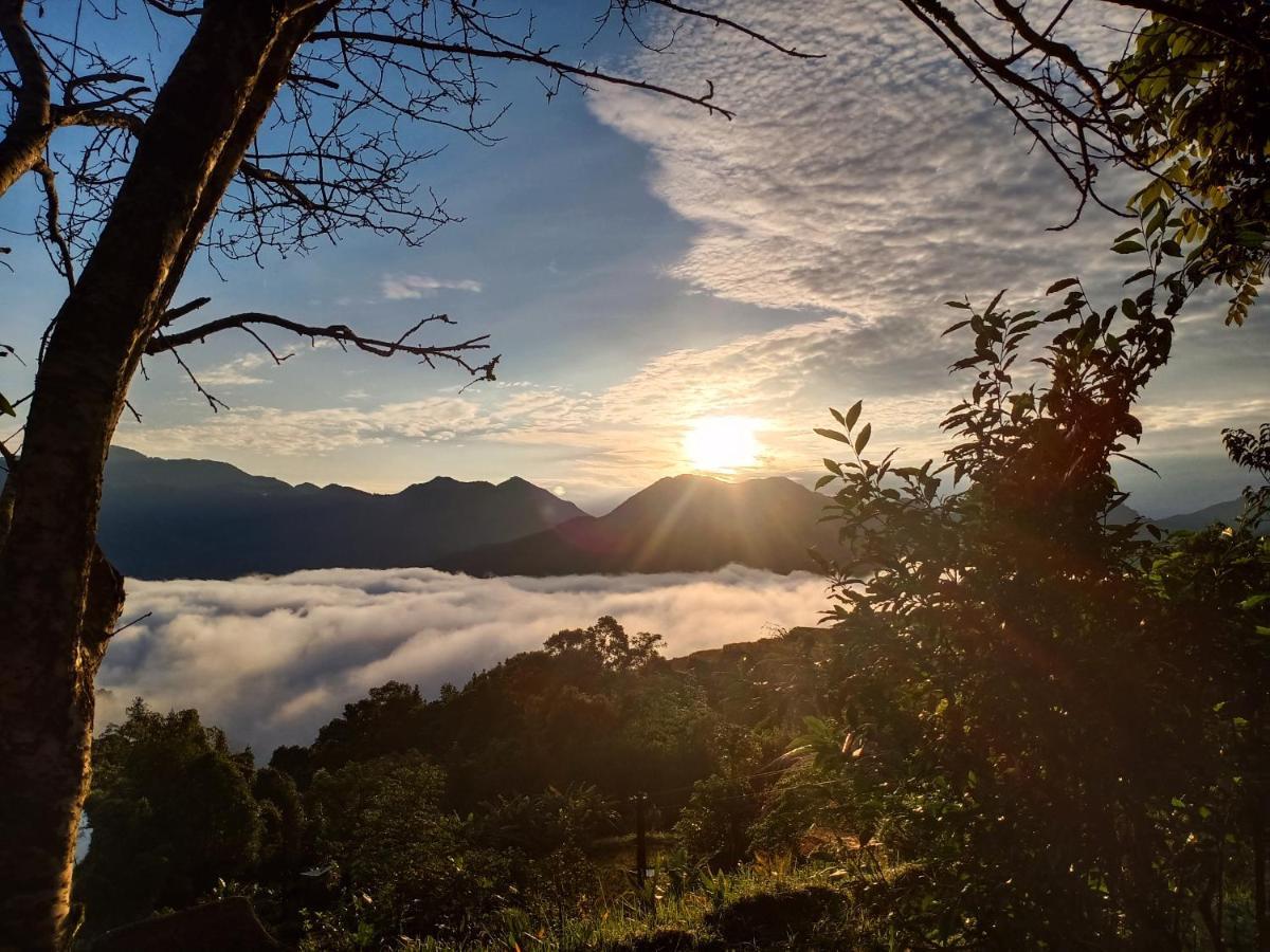 Hoang Su Phi Bungalow エクステリア 写真