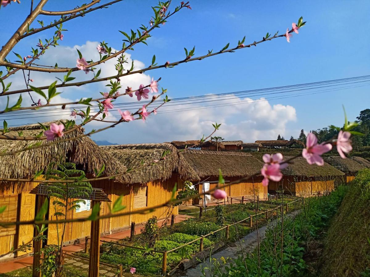 Hoang Su Phi Bungalow エクステリア 写真