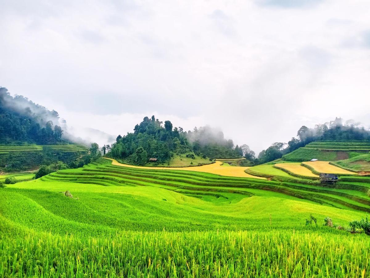 Hoang Su Phi Bungalow エクステリア 写真