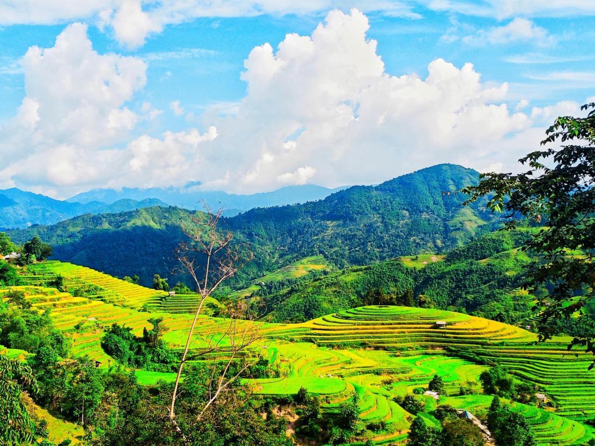 Hoang Su Phi Bungalow エクステリア 写真