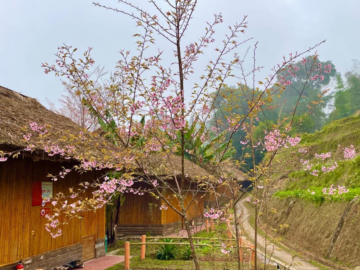 Hoang Su Phi Bungalow エクステリア 写真