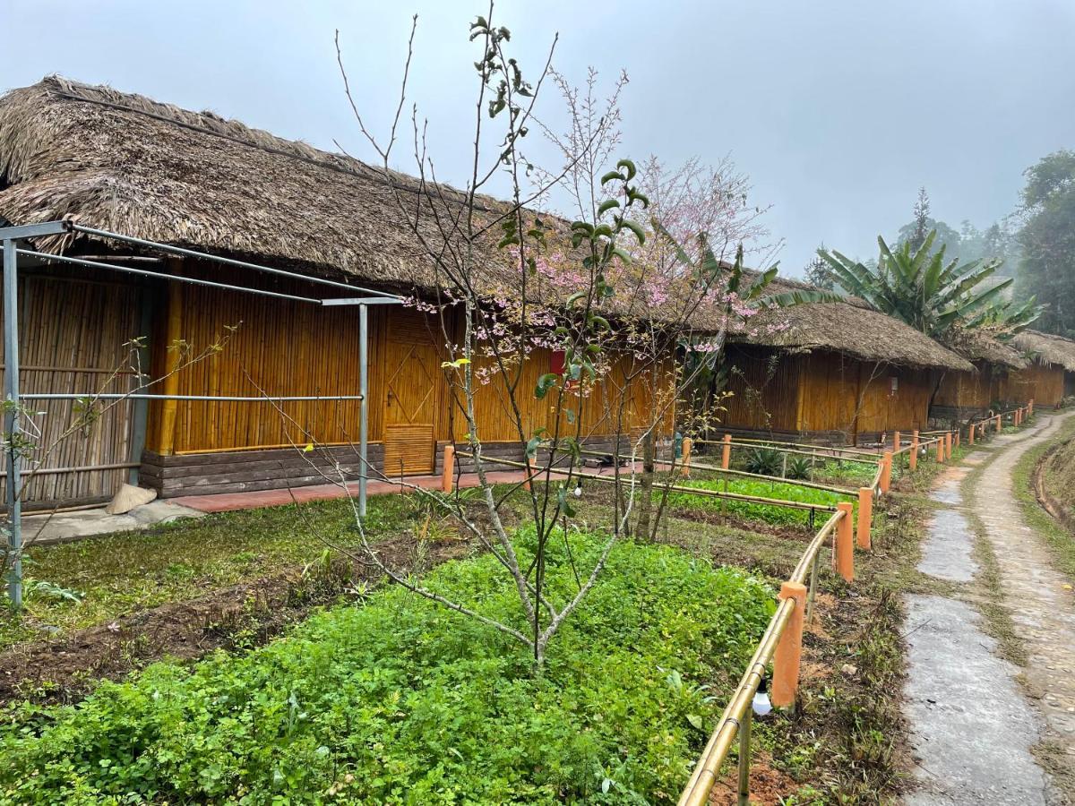 Hoang Su Phi Bungalow エクステリア 写真